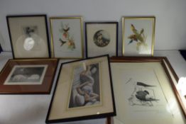 MIXED LOT: COLOURED PRINTS TO INCLUDE SOME ORNITHOLOGICAL INTEREST AND VARIOUS OTHERS (QTY)