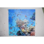 CORAL REEF CANVAS PRINT, 60 X 60CM