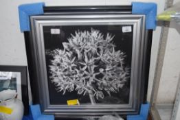 BLACK ALUMINIUM FRAMED PHOTOGRAPH