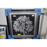 BLACK ALUMINIUM FRAMED PHOTOGRAPH