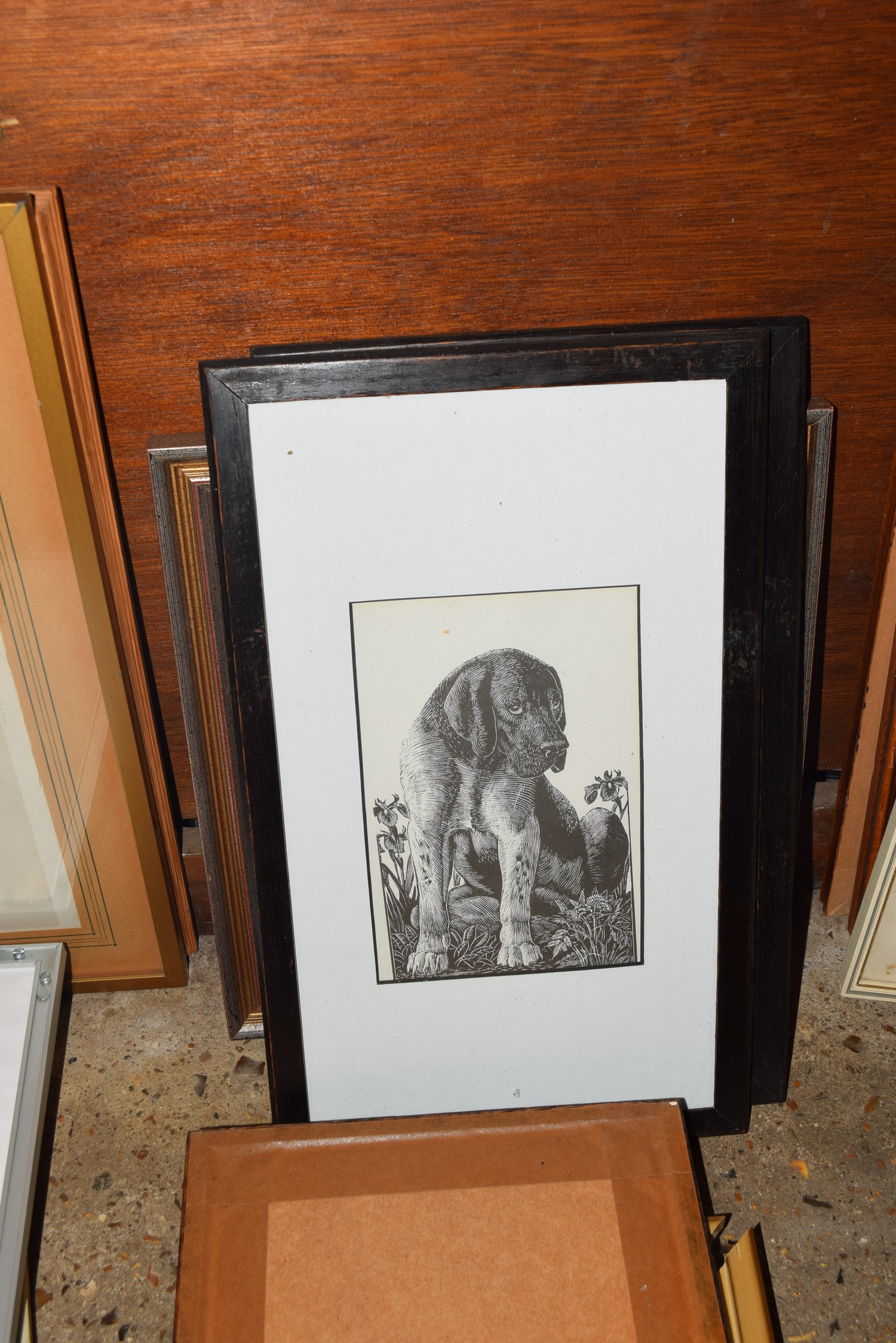 MIXED LOT: FRAMED PICTURES TO INCLUDE ENGRAVINGS, VARIOUS BIRD SPECIES PLUS FRAMED DRIED FLOWER - Image 3 of 3