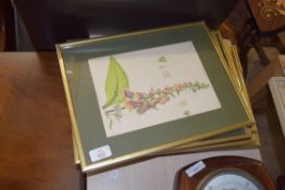 EIGHT VARIOUS COLOURED BOTANICAL PRINTS, ORIGINALLY BOOKPLATES, ALL FRAMED AND GLAZED, 36CM HIGH