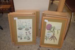 COLLECTION OF 12 VARIOUS BOTANICAL PRINTS IN LIGHT WOOD FRAMED AND GLAZED