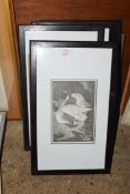 MIXED LOT: FRAMED PICTURES TO INCLUDE ENGRAVINGS, VARIOUS BIRD SPECIES PLUS FRAMED DRIED FLOWER