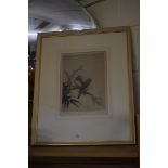 ELYSE ASHFORD, COLOURED PRINT, CHINESE BIRDS, NUMBERED 45/75, FRAMED AND GLAZED, 58CM HIGH