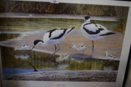 ROBERT GILLMOR, "THE AVOCET FAMILY", COLOURED PRINT, FRAMED AND GLAZED, 71CM WIDE