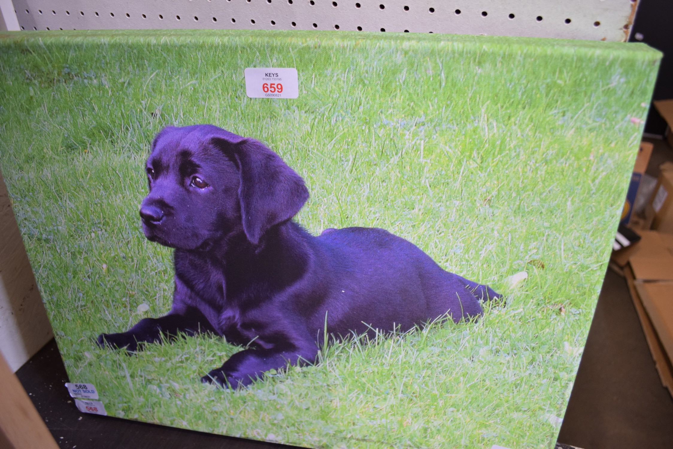 PHOTOGRAPHIC PRINT OF A LABRADOR PUPPY, UNFRAMED