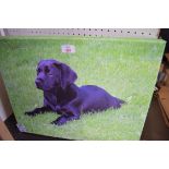 PHOTOGRAPHIC PRINT OF A LABRADOR PUPPY, UNFRAMED