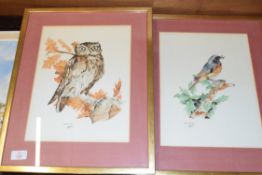 M STEVENS, TWO WATERCOLOUR STUDIES, "LITTLE OWL" AND "MALE REDSTART", FRAMED, 38CM WIDE