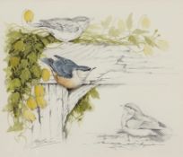 Ian Bowles (British, b. 1946), A study of garden birds Watercolour and pencil on paper, signed, 30 x