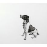 Lucy Boydell (British, Contemporary), A study of a Jack Russell Terrier. Charcoal and chalk on