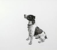Lucy Boydell (British, Contemporary), A study of a Jack Russell Terrier. Charcoal and chalk on
