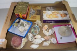 TRAY CONTAINING SEA SHELLS ETC