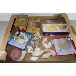 TRAY CONTAINING SEA SHELLS ETC