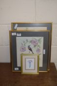 TWO COLOURED PRINTS, HUMMING BIRD SPECIES, FRAMED AND GLAZED, LARGEST APPROX 50CM HIGH