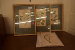 COLLECTION OF EIGHT FRAMED BOTANICAL BOOK PLATES PLUS VARIOUS LOOSE