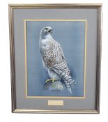 Kenneth Smith (British, 20th century), A gyrfalcon perched, watercolour and gouache on paper,