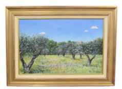 Frederick de Fontenay (French, 20th century), Study of an olive grove, oil on canvas, signed, 36 x