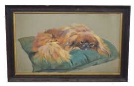 British, 20th century, Portrait of a dog named "Chifu", 1921, watercolour on paper, unsigned, 29 x