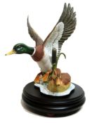 Kaiser model of ducks on wooden base