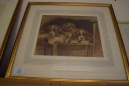 EMILY BRAITHWAITE, STUDY OF THREE PUPPIES, FRAMED AND GLAZED, 41CM WIDE