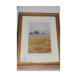 UNSIGNED WATERCOLOUR STUDY - CORNFIELD WITH DISTANT FARM, FRAMED AND GLAZED, 39CM HIGH