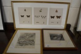 MIXED LOT OF 19TH CENTURY COLOURED PRINTS COMPRISING RIVER FISHES, BUTTERFLY SPECIES AND