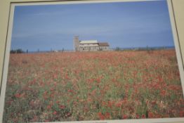 PHOTOGRAPHIC PRINT OF POPPIES NEAR SHERINGHAM, FRAMED AND GLAZED