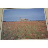 PHOTOGRAPHIC PRINT OF POPPIES NEAR SHERINGHAM, FRAMED AND GLAZED