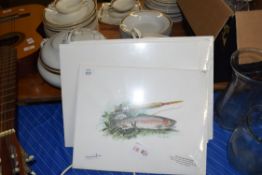 COLLECTION OF FIVE COLOURED PRINTS OF TROUT AND FLY FISHING INTEREST