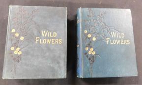 ANNE PRATT: WILD FLOWERS, London, SPCK, 1905, 2 vols, 192 coloured plates as lists, 16mo, original