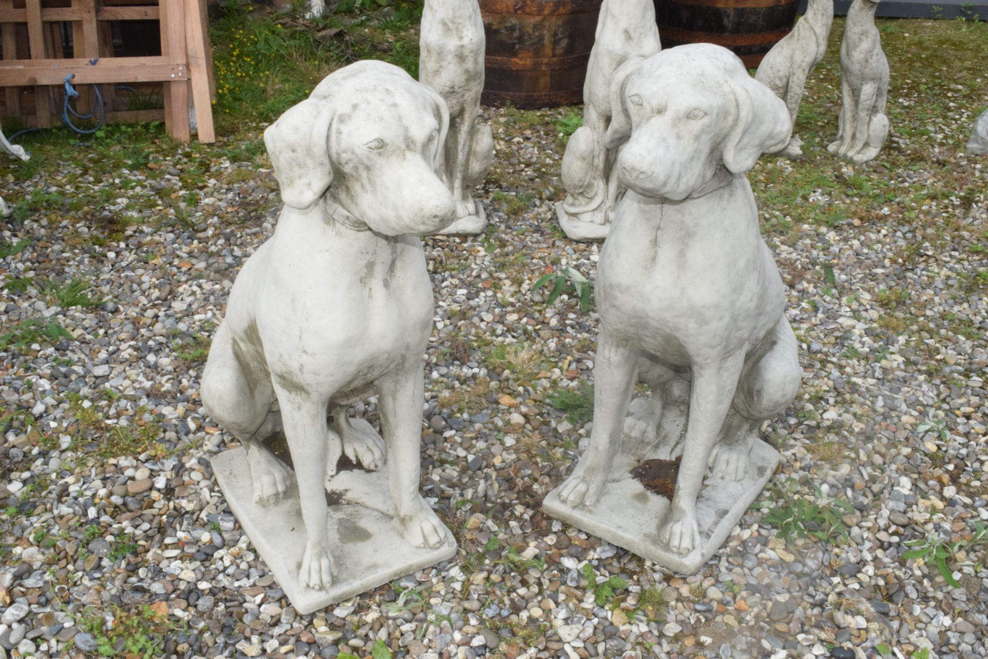 PAIR OF SEATED HOUNDS, HEIGHT APPROX 73CM