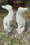 PAIR OF SMALL SEATED WHIPPETS, HEIGHT 58CM
