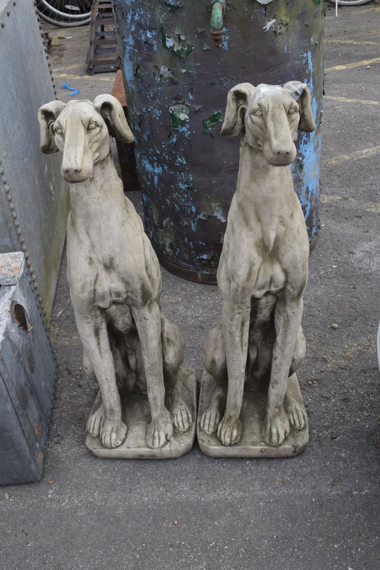 TWO LARGE SEATED WHIPPETS, HEIGHT APPROX 82CM