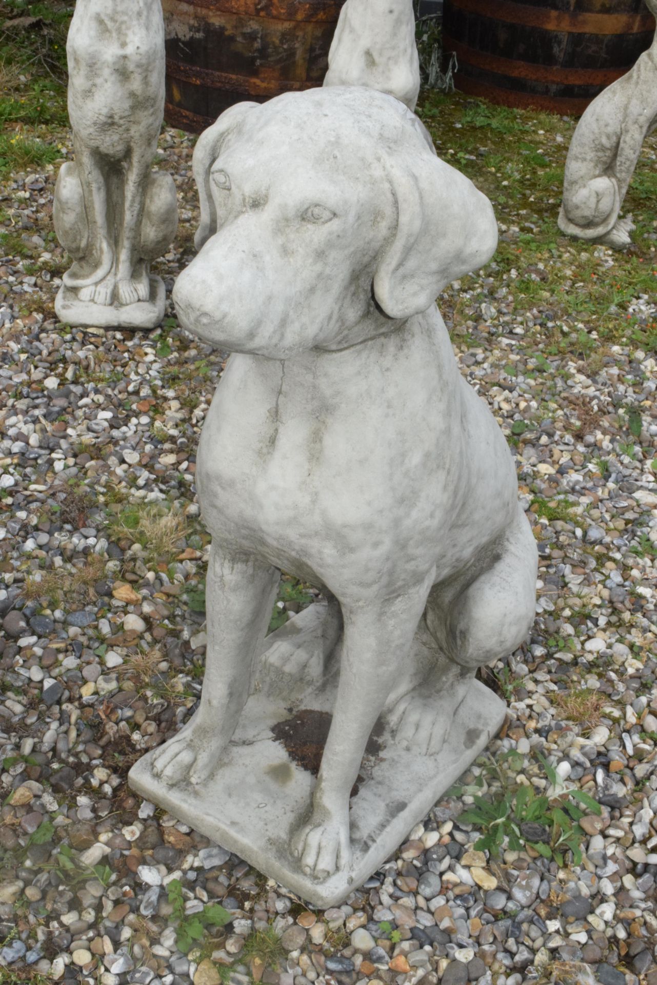 PAIR OF SEATED HOUNDS, HEIGHT APPROX 73CM - Image 2 of 2