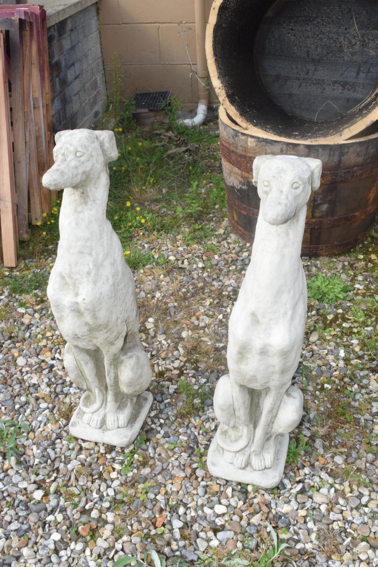 PAIR OF SEATED WHIPPETS, HEIGHT 75CM