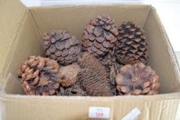 BOX OF PINE CONES