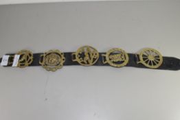 LEATHER STRAP OF HORSE BRASSES