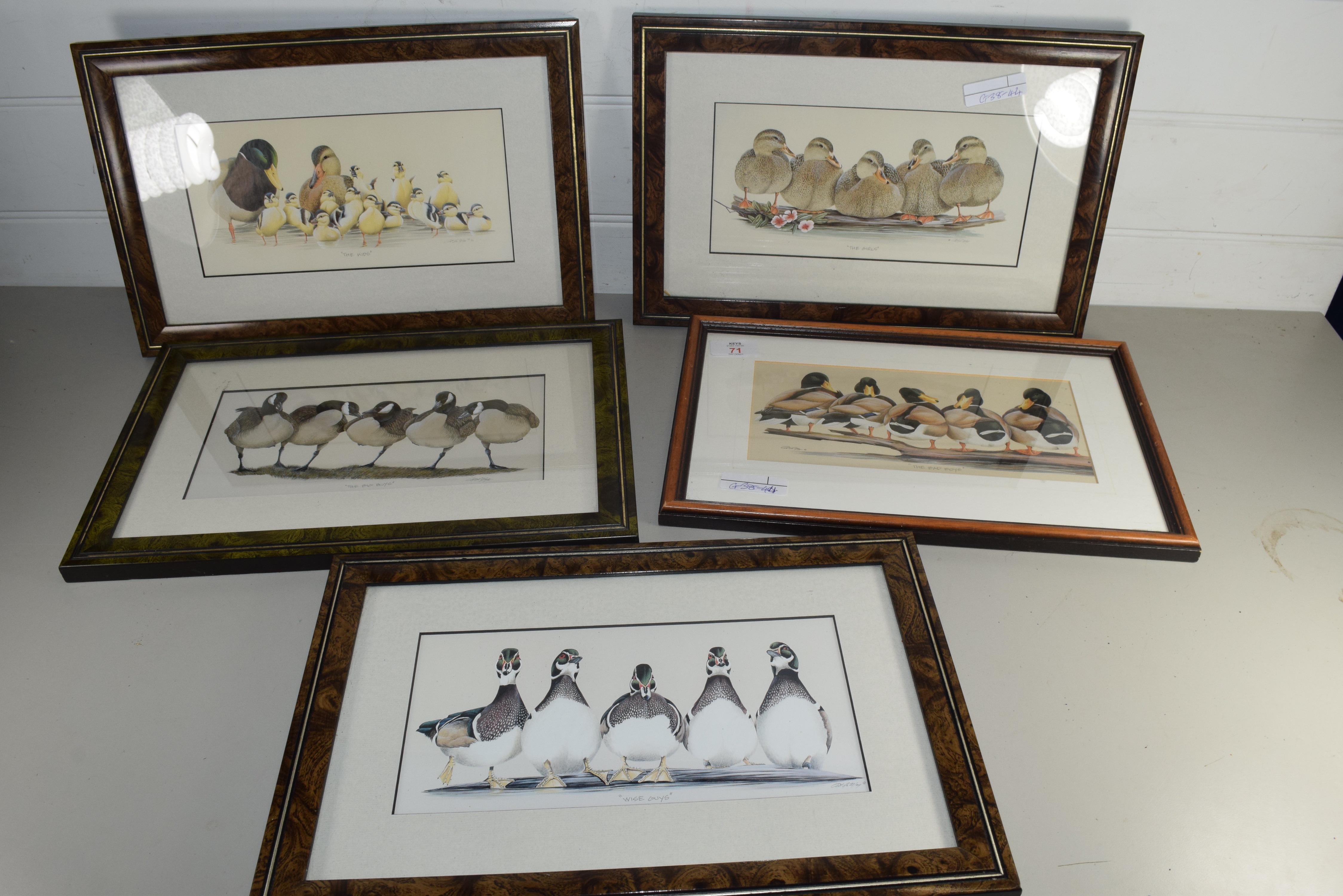 GROUP OF FIVE MODERN COLOURED PRINTS OF DUCKS AND GEESE, FRAMED AND GLAZED