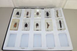 VARIOUS INSECT SPECIMENS PRESERVED IN PERSPEX