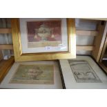 PAIR OF CONTEMPORARY COLOURED PRINTS OF VASES, GILT F/G TOGETHER WITH A SMALL FRAMED ANTIQUE PLAN OF