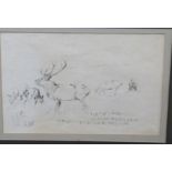 Attributed to Sir Alfred Munnings (British 20C) A study of a stag in profile . Pencil on arches,