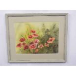 J ROSE (British, 20th century), A study of wild poppies, watercolour on card, signed, 11 x 14ins