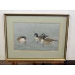 M Cargill (British 20C), A gaggle of Canadian Geese. Watercolour, signed. Approx 10x16 inches.