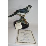 Kaiser porcelain limited edition model of a blue jay model number 120/1500 (with certificate)