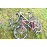 Gents Carrera mountain bike and a gents Ammaco bike (2)