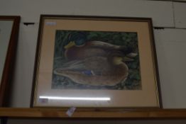 ROSALIND TURLINGTON, STUDY OF A PAIR OF MALLARD DUCKS, WATERCOLOUR, SIGNED AND DATED 1955, F/G, 54CM