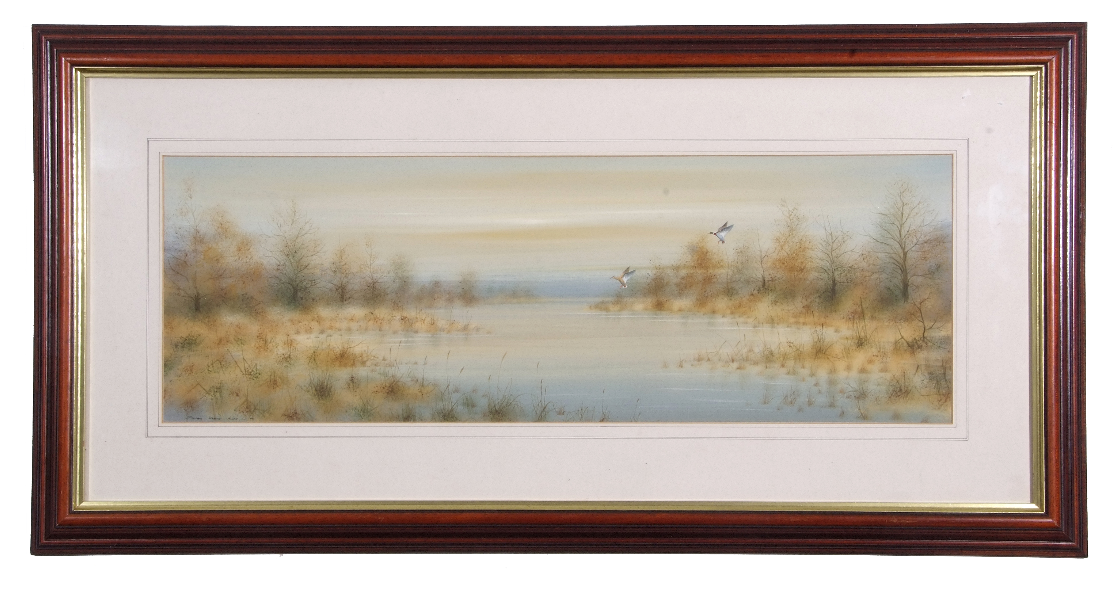 Stephen Allen (British 20th Century), Mallard alighting , Mixed media, signed, 1992, approx 10x28in