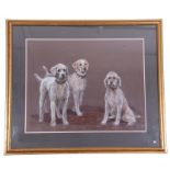 A portrait of three dogs named Polly, Kettle and Plum, charcoal on black card, signed by Carolyn