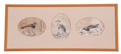 A H Patterson (British, 19th century), A set of three naturalist sketches, pen on paper signed,